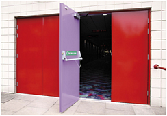 Дверь противопожарная металлическая с покраской в два цвета EI60